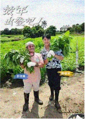 被窝在线观看免费全集-地球脉动